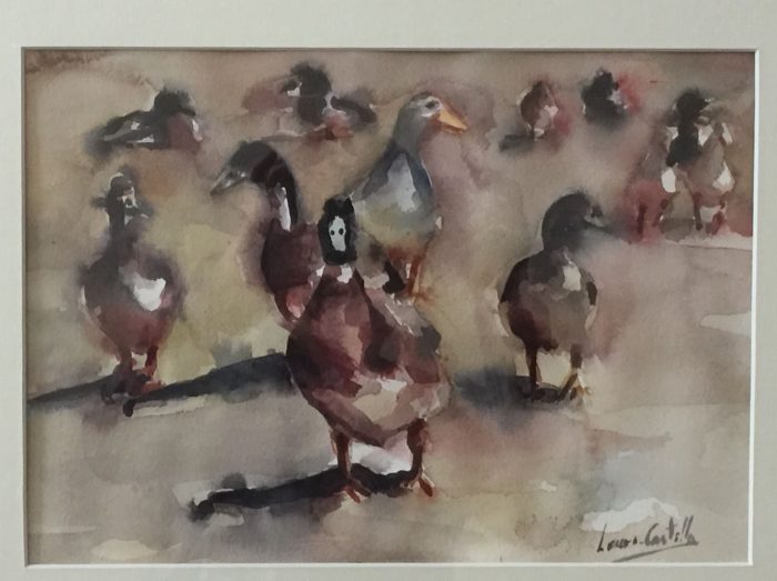 Un grupo de patos